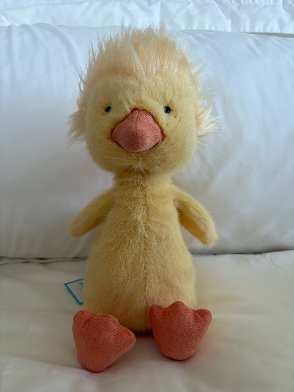Jellycat Dorit Duckling 🐥